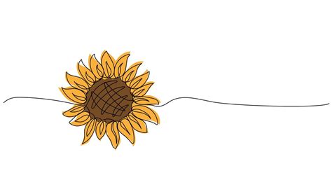 Continuous one line drawing of sunflower 21160835 Vector Art at Vecteezy