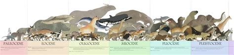 Pin by Joshkilby on Animal Size Comparison | Prehistoric animals, Prehistoric creatures ...