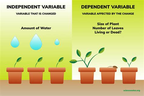 Independent and Dependent Variables Examples