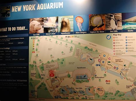 Guide to Visiting New York Aquarium - Hellotickets