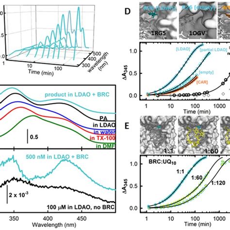 Influence of tetryl on the NIR absorption spectra of the BRCs. A and B... | Download Scientific ...