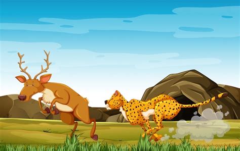 Leopard hunting zebras in cartoon character on the forest background ...