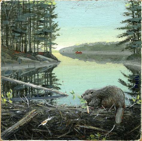 Beaver Dam Drawing - Drawing.rjuuc.edu.np