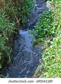 Puddles Water Used Washing Clothes Food Stock Photo 2211789407 | Shutterstock