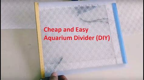 DIY aquarium divider/Fish tank Divider DIY less than $2 - YouTube