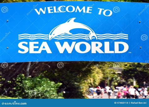 Sea World Gold Coast Queensland Australia Editorial Stock Image - Image ...