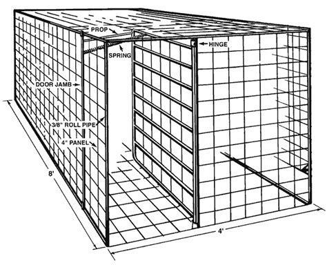 How to Build a Swing Door Hog Trap Plans