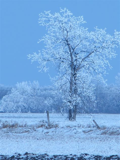 Pin on Beloved Prairies