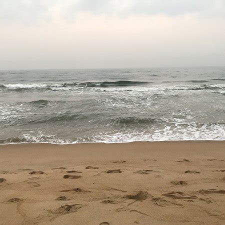 Thiruvanmiyur Beach (Chennai) - All You Need to Know Before You Go (with Photos) - TripAdvisor