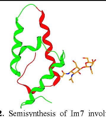 Figure 1 from Protein folding mechanisms | Semantic Scholar