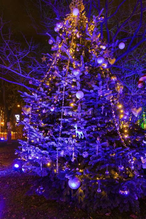 Christmas Tree in Vienna, Austria Stock Photo - Image of tree ...