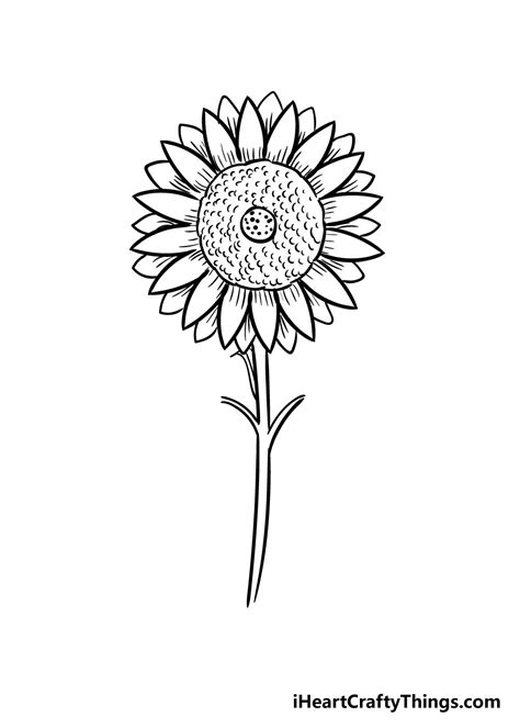 How To Draw A Sunflower Step By With Pencil | Best Flower Site