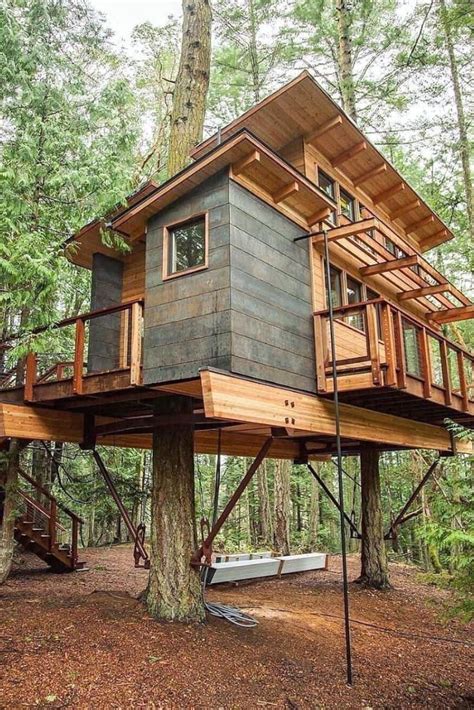 34 Stunning Tree House Designs You Never Seen Before - MAGZHOUSE