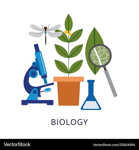 Biology lessons and school classes banner flat Vector Image