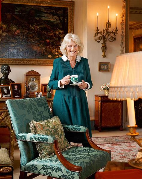 Camilla opens up on pressure of public life | Daily Mail Online