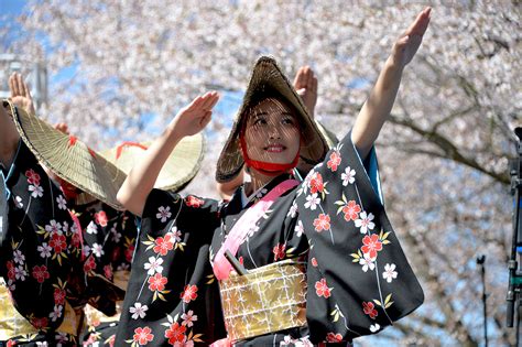 Thousands came to enjoy Japanese culture at the Cherry Blossom Festival ...