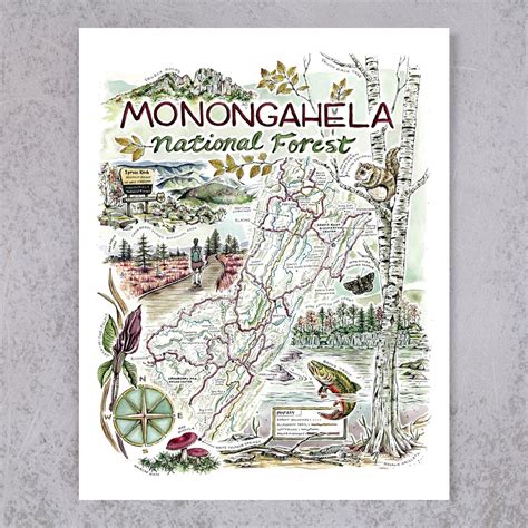 Monongahela National Forest Map – thosewhobloom