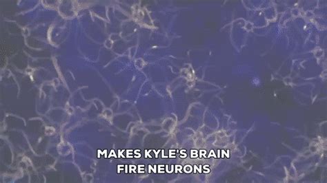 Neurons In Brain GIFs - Find & Share on GIPHY