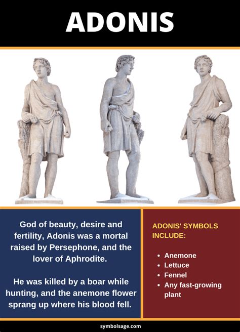 Adonis – God of Beauty, Desire and Fertility | Greek mythology goddesses, Greek mythology gods ...