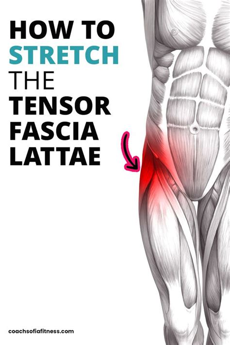 Tensor Fasciae Latae Tfl Pain Relief In 6 Ways New Health Guide ...