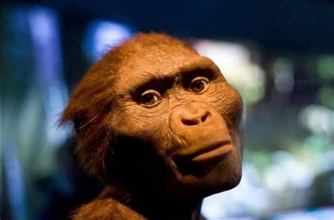 The Death of Lucy: Has a 3.2 Million-Year-Old Mystery Finally Been Solved? | Ancient Origins