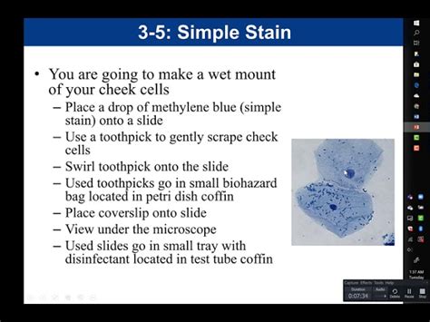 Simple Stain