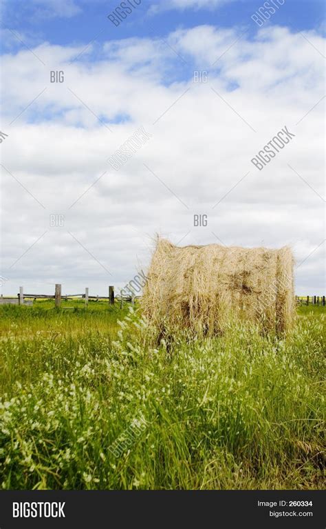 Hay Bail Image & Photo (Free Trial) | Bigstock