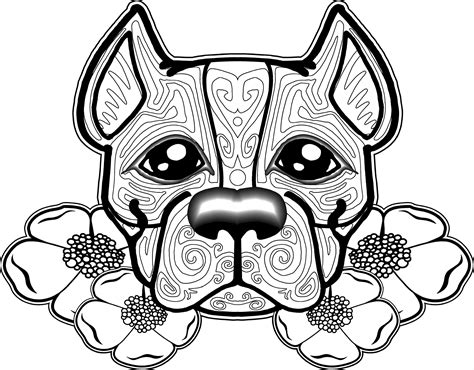 Pitbull Coloring Pages - Best Coloring Pages For Kids