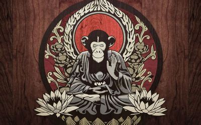 Meditating monkey wallpaper - Digital Art wallpapers - #26689