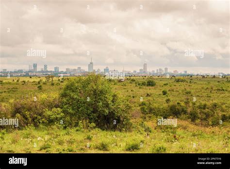 Nairobi city skyline seen from Nairobi National Park, Kenya Stock Photo - Alamy