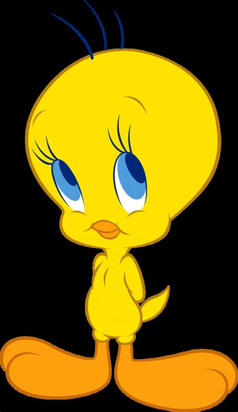 Pin on Tweety bird drawing