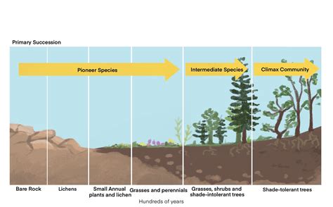 Changing Ecosystems - Page 2 of 6 - QCE Biology Revision