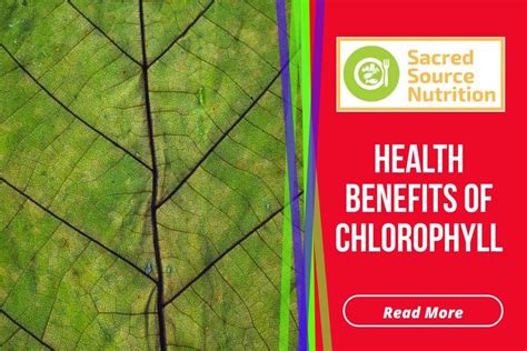 The Many Health Benefits of Chlorophyll