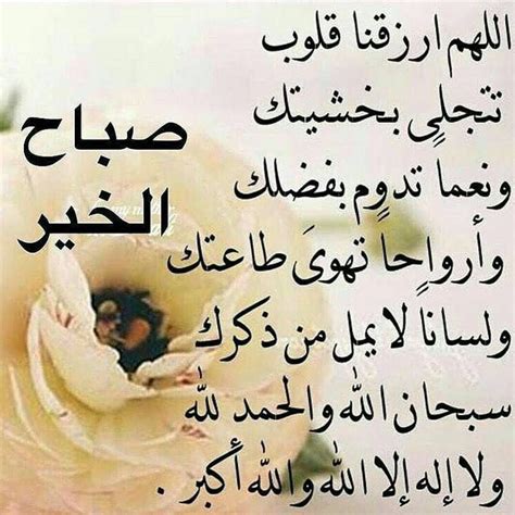 No Title | Good morning arabic, Good morning photos, Life quotes