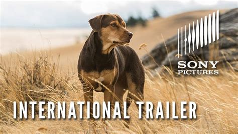 International Trailer for A Dog's Way Home