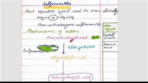 Sulfonamide | Mechanism of action of Sulfonamide | Classification ...