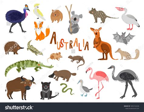 Australian Animals Isolated Australian Characters Kids Stock Vector ...