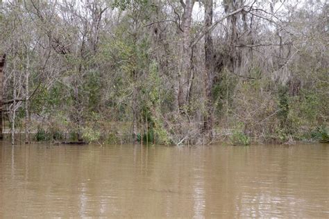 Alabama River crests at 25-year high, turning Delta into a 13-mile-wide river - al.com