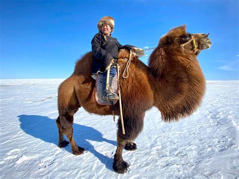 Mongolia Winter Tours – Mongolia Winter Trips - Winter Experiences