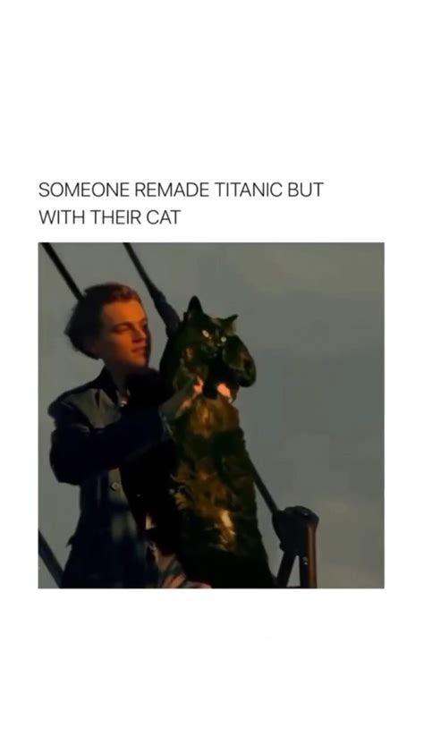 Titanic but with a black cat | Comedy funny videos, Hysterically funny, Fun quotes funny