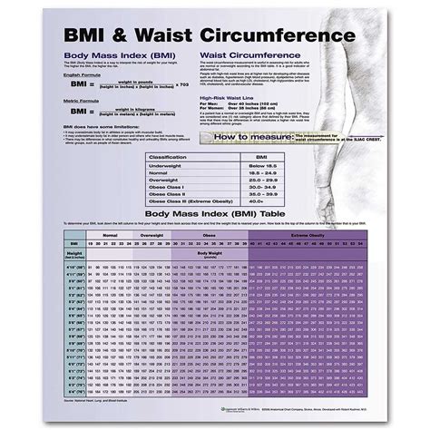 BMI & Waist Circumference Chart 20'' x 26''