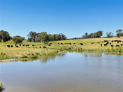 234 Niangala Road, Walcha NSW 2354 - Rural & Farming For Sale | Commercial Real Estate