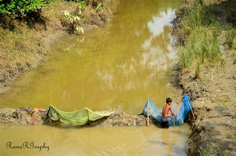 Inland fisheries – Fishionary