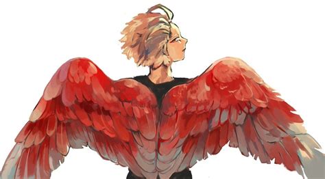 Pin on Boku no Hero A | Hawk, Hero academia characters, Anime