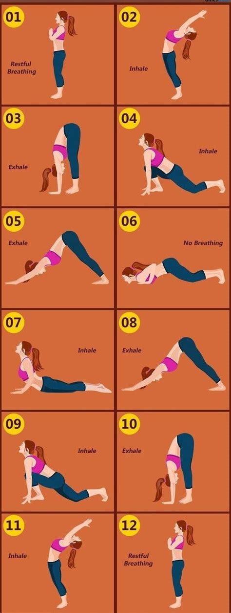 12 Poses of Sun Salutation or Surya Namaskar | Quick yoga, Morning yoga, Yoga videos