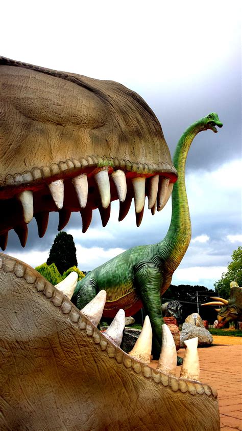 Dinosaur Museum, Canberra | Australia bucket list, Australian capital territory, Photography ...