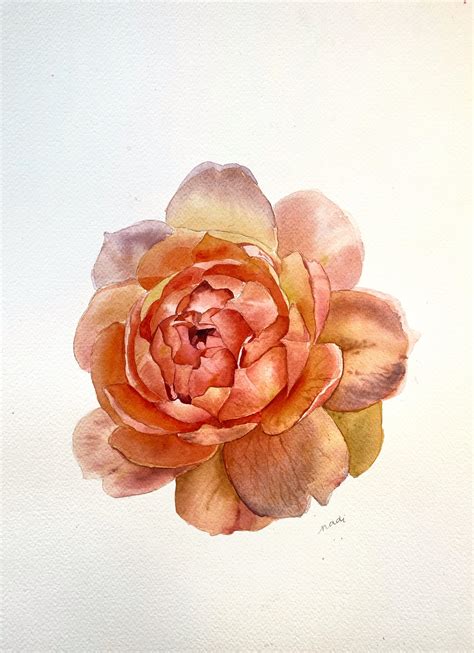 My rose painting :) : Watercolor