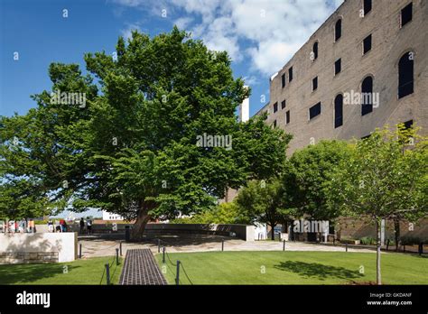 The Survivor Tree at the Oklahoma City Bombing Memorial Stock Photo - Alamy