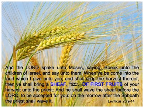 #watchingandwaitingforjesus: Firstfruits