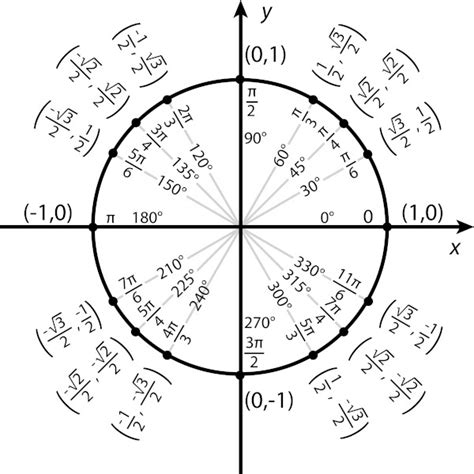 Circulo Trigonometrico Trigonometria Objetos Matematicos Images | Images and Photos finder